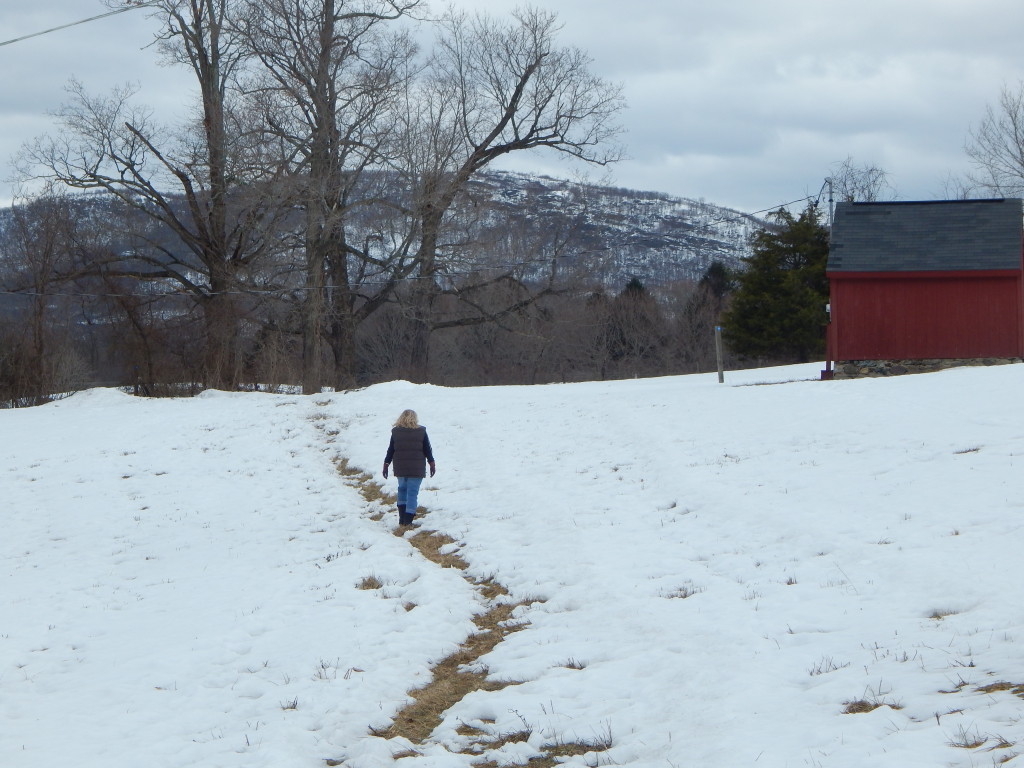 Rugged Path