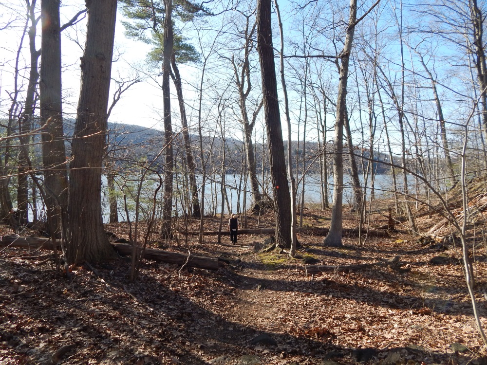 Take the Red Trail, Neo, Hiking in Arden Point Park