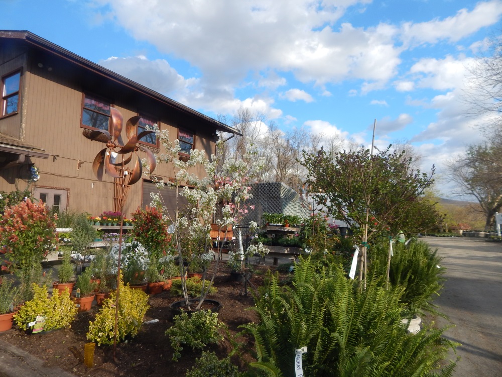 Willow Ridge Nursery & Garden Center  Whirling Garden Art