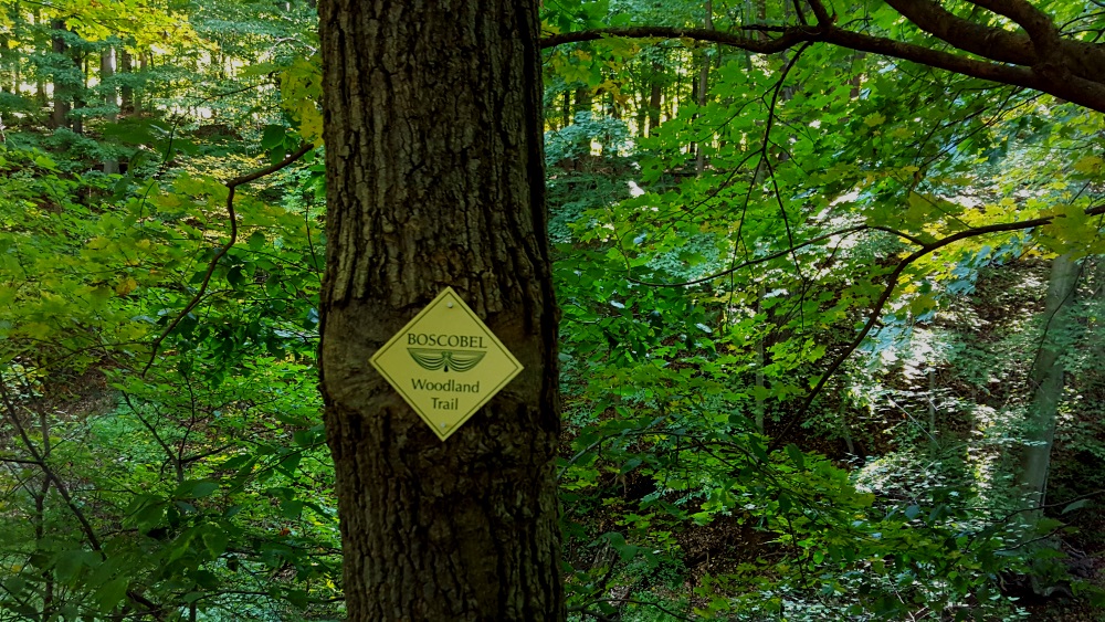 Boscobel Woodland Beautiful trail marker