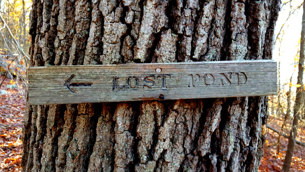 Manitoga Paths Lost Pond Sign