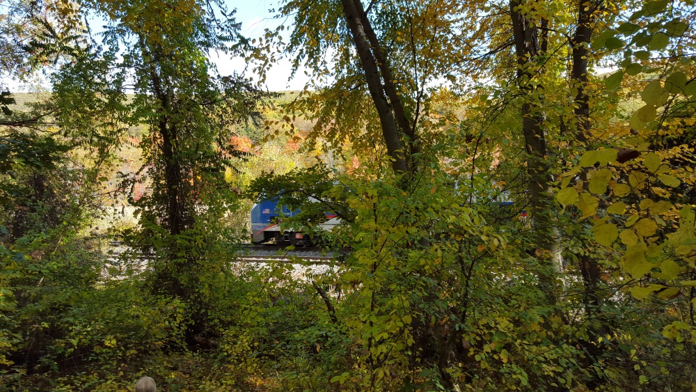 Manitou Point Preserve trail back see a train