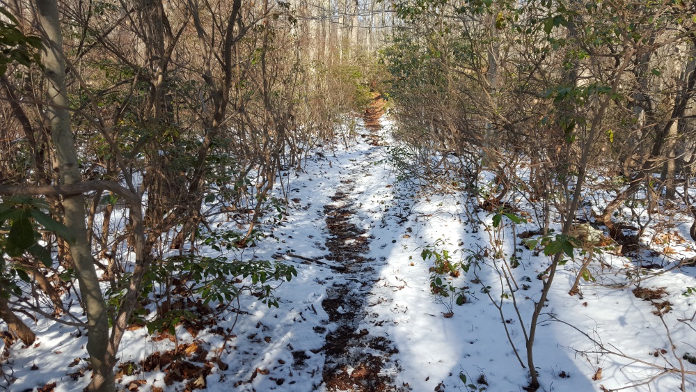 Charcoal snowey path