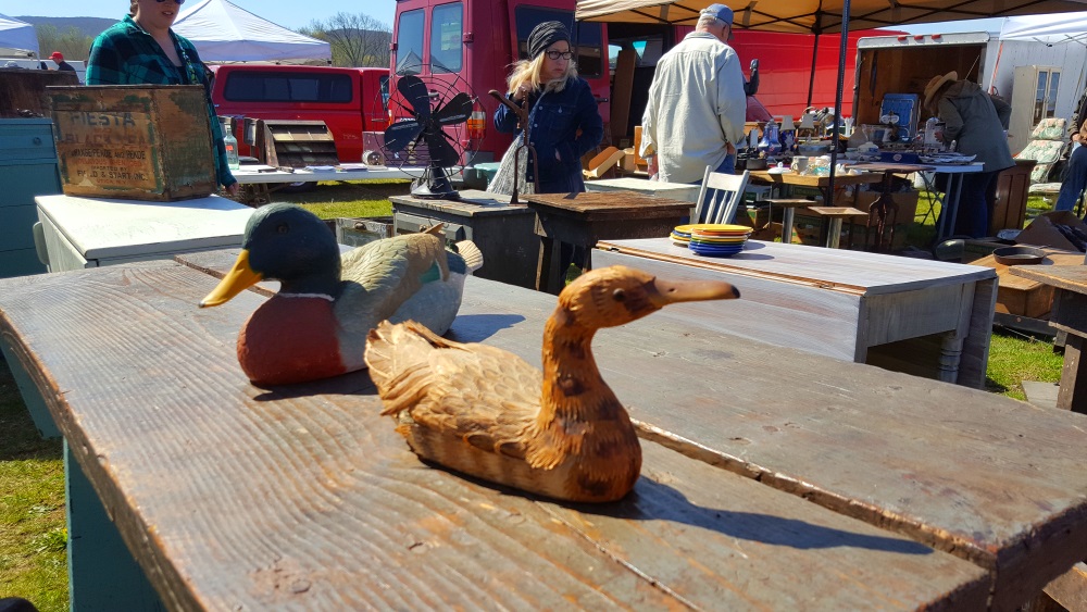 Stormville Flea Market Ducks